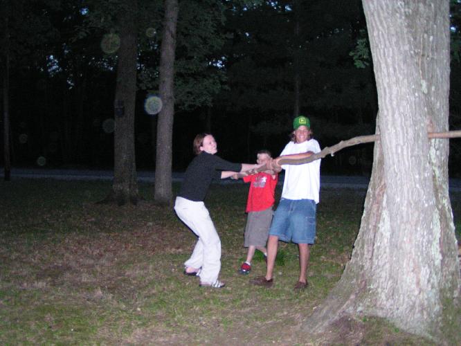 log breaking tree 2.JPG