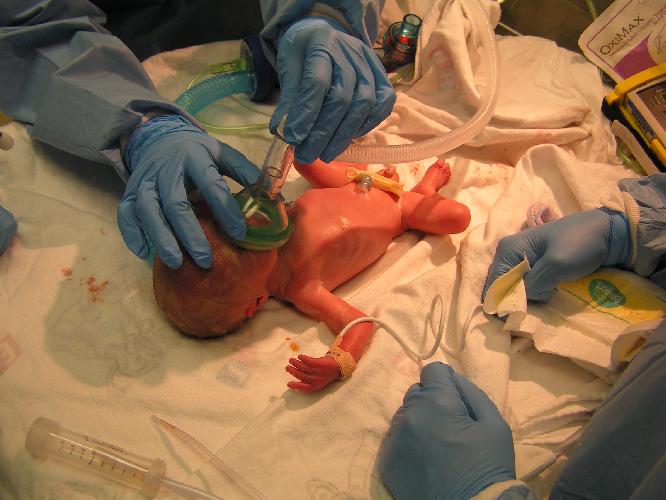 Josh spread eagle1.JPG